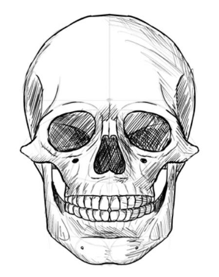 Skull Drawing Sketches, Calaveras Art, Skull Sketch, Maya Art, Skeleton Drawings, Skulls Drawing, Surrealism Painting, Skull Drawing, Arte Inspo