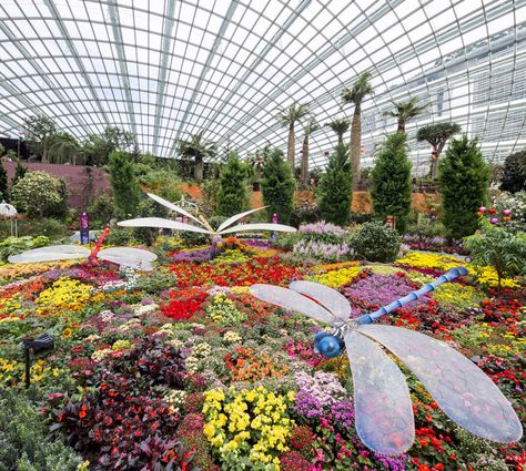 Flower Dome Rain Forest Garden, Sg Aesthetic, Tourism Design, Singapore Garden, Flower Dome, German Town, Dreamy Flowers, Dome Structure, E Ticket