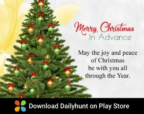 Greetings In English, Quotes Message, Evening Wishes, Good Evening Wishes, Good Afternoon Quotes, Afternoon Quotes, Good Morning Images Download, Xmas Greetings, Merry Christmas Wishes