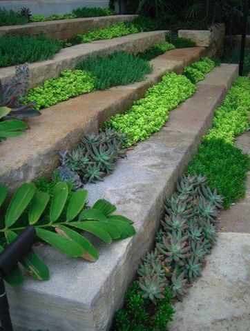 Stone Steps, Garden Steps, Concrete Steps, Have Inspiration, The Secret Garden, Garden Spaces, Succulents Garden, Landscape Architect, Garden Paths