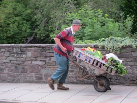 A force is a push or pull upon an object resulting from the objects interaction with another object. In the picture, the man is interacting with the wheelbarrow and creating a push. Man Pushing Wheelbarrow, A Force, Man Standing, Reference Images, Children's Books, The Picture, The Man, Childrens Books, Baby Strollers