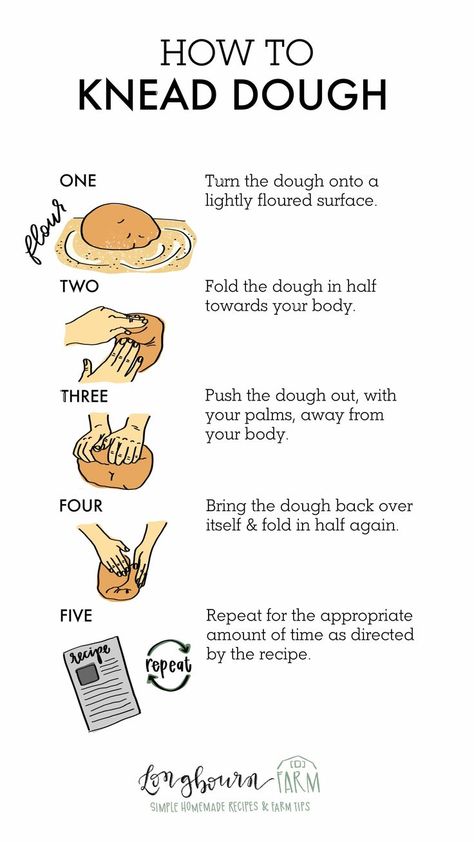 Kneading dough is easy if you know the right technique! Learn all the basics you need to get a fresh loaf on your table with ease. #dough #kneaddough #howtokneaddough #bread #bakingbread #howtobakebread #howtomakebread #kneadingdough #kneadbreaddough #wheatbread #whitebread #dinnerrolls Cooking Substitutions, Baking 101, Kneading Dough, Culinary Techniques, Baking Basics, Baking Essentials, Layer Cakes, Cooking Basics, Food Facts