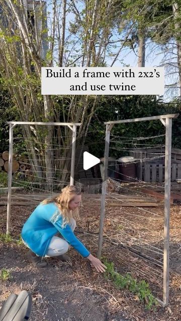 Kelly Welk on Instagram: "If you’re planning to grow snap peas, green beans, sweet pea flowers … or really anything that needs trellising. Here are a few ways we have found to create easy garden structures.  Get the trellis in place now and you’ll be able to train your plants up the trellis as they grow-it’s much easier then trying to add it in once they’re crazy vining lumps in the garden!  The moral of this is that you can use all sorts of things! As long as there is something for the vines to grab onto and preferably 5ish feet tall.   The snap peas that grow on our bed spring trellis end up growing up one side and then vine along the top as they get taller - it’s a bit short but it’s so cute and sturdy I just love it.  What do you have that you can use? What are you trellising!? I’m add Grow Snap Peas, Sweet Pea Trellis, Snap Pea Trellis, Bean Trellis, Pea Trellis, Growing Sweet Peas, Small Trellis, Bed Spring, Wall Trellis