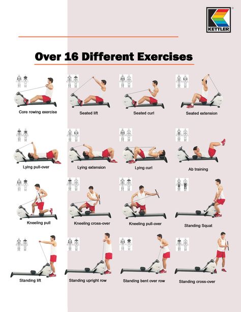 Kettler's Coach Rower's Exercises...love my new rower! Indoor Rowing Workout, Rower Workout, Rowing Machine Workout, Desk Workout, Rowing Workout, Indoor Rowing, Pilates Reformer Exercises, Abs Training, Kickboxing Workout