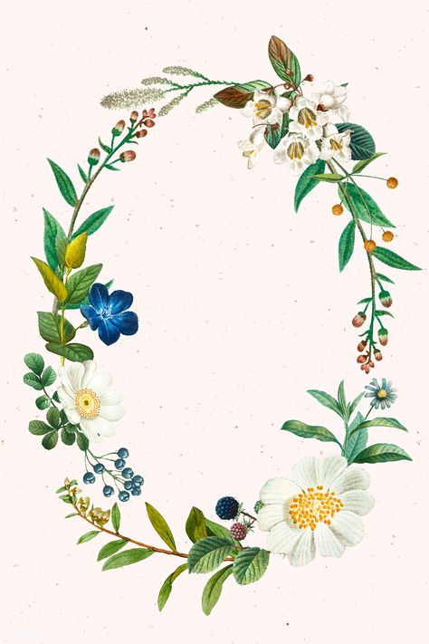 Blooming spring oval wreath vector | premium image by rawpixel.com / sasi #vector #vectorart Flower Wreath Illustration, Oval Wreath, Wreath Vector, Vintage Template, Wreath Illustration, Vintage Wreath, Wreath Drawing, Illustration Blume, Botanical Illustration Vintage