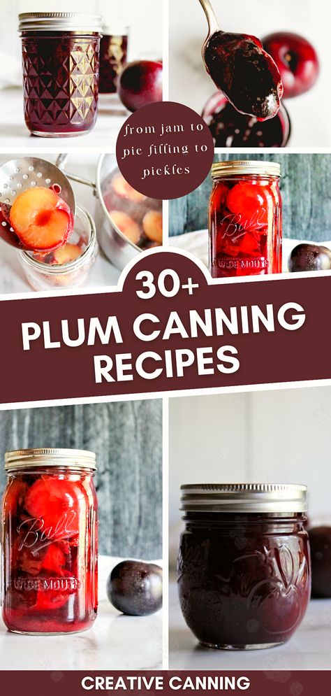 Check out over 30 preserving fruit recipes focused on canning plums. From pickled plums to plum chutney, this collection of plum canning recipes has it all. Learn the ins and outs of how to can plums and experience the joy of having homemade plum treats year-round. Plum Conserve Recipe, Spiced Plums Canning, Plum Chutney Recipe Canning, Black Plum Jam Recipe, Plum Pie Filling Canning, Canning Italian Plums, Plum Syrup Recipe For Canning, Canned Plum Jam, Canned Plums What To Do With