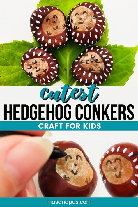 Help your toddler make the cutest hedgehog family with this simple tutorial. It's as easy as collecting conkers on your next autumn outing. Use sharpies and paints to make a loveable pet hedgehog for your preschooler.#hedgehogcraft #conkercrafts #kidscrafts #toddlercrafts #fallcrafts Autumn Craft Toddler, Painted Conkers, Crafts With Conkers, Autumn Crafts For Toddlers, Conkers Craft, Forest Animal Crafts, Pet Hedgehog, Fall Crafts For Toddlers, Hedgehog Craft