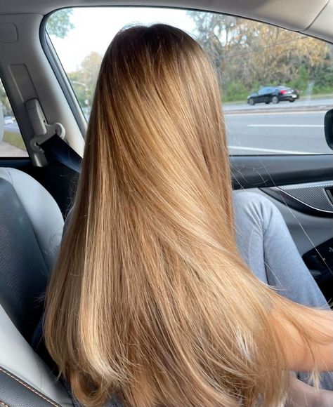 Gold Blonde Hair, Golden Blonde Hair Color, Warm Blonde Hair, Rambut Brunette, Honey Hair Color, Summer Blonde Hair, Brown Hair Inspo, Golden Blonde Hair, Vlasové Trendy