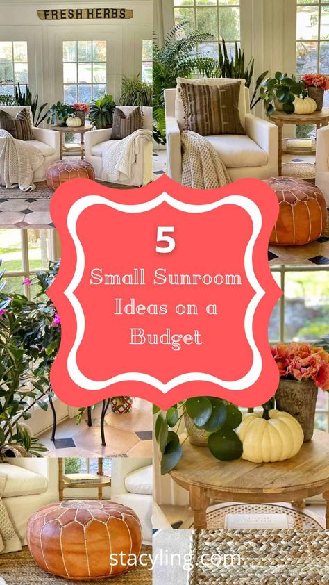 5 Small Sunroom Ideas on a Budget - Stacy Ling Sunroom Decorating Ideas Modern, Sunroom Decorating Ideas Bohemian, Small Sunroom Ideas On A Budget, Apartment Sunroom Ideas, Sunroom Decorating Ideas Indoor, Sunroom Plants Decor, Indoor Sunroom Furniture Ideas, Sunroom Ideas On A Budget, Small Sunroom Decorating Ideas