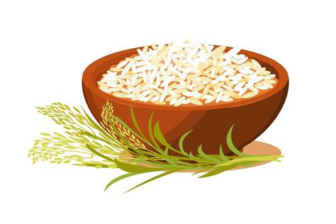 Bowl of rice. Cereal porridge with ears. Vegetarian food. Asian cuisine vector illustration Rice Cartoon, Rice Illustration, Rice Illustration Design, Fried Rice Illustration, Logo Rice Bowl Design, Nasi Lemak Cartoon, Rice Illustration Food, Bowl Logo, Rice Cereal