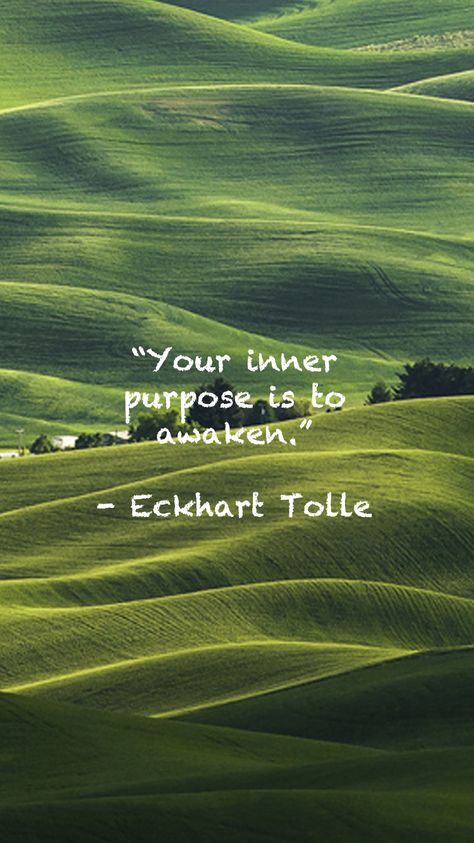 Now Wallpaper, All We Have Is Now, Eckhart Tolle, Wallpaper Backgrounds, Iphone Wallpaper, Iphone