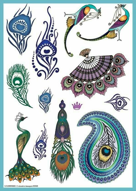 Peacock Fan, Peacock Images, Peacock Feather Tattoo, Peacock Tattoo, Feather Drawing, Peacock Colors, Peacock Decor, Peacock Painting, Peacock Art