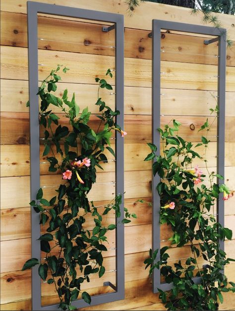 Panel Trellis, Seed Starting Soil, Wall Trellis, Modern Trellis, Garden Vines, Walled Garden, Trellis Design, Inspire Me Home Decor, Small Space Gardening