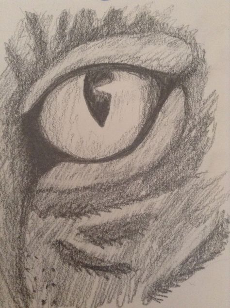 Tiger eye drawing, pencil Tiger Eyes Drawing, Tiger Eye Drawing, Cougar Drawing, Eye Drawing Pencil, Tiger Sketch, Lion Eyes, Tiger Drawing, Tiger Eyes, Eye Sketch