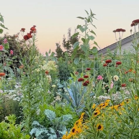 CORTNEY | GARDENCHARM on Instagram: "Doing what makes me happy 🩷💛🧡  Turned my garden into my very own artsy canvas full of colorful and beneficial flowers that encourage more pollinators while also providing my family with plenty of fruits and vegetables.   Happy gardening! . #gardencharm #pnwgardening #zone8b #happy #life #gardendesign #oregon #backyard #garden #flowerlovers" Oregon Backyard, What Makes Me Happy, Charming Garden, Country Gardening, My Garden, Backyard Garden, Fruits And Vegetables, Make Me Happy, My Family