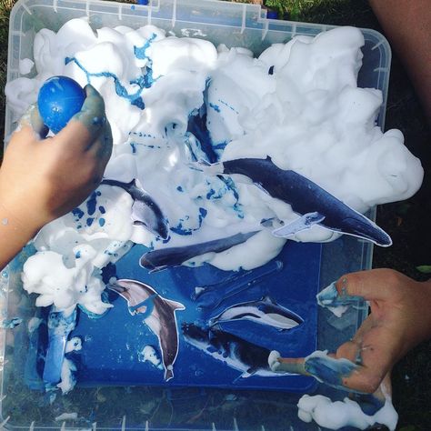 Peppermint ocean messy play | soapy foam, oobleck, sea mammals | preschool activities Sea Mammal, Animal Activities, Messy Play, Marine Mammals, Creative Learning, Toddler Activities, Preschool Activities, Classic Art, Mammals