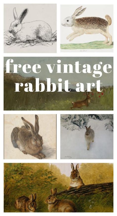 Vintage Rabbit Illustration Free Printable, Antique Bunny Painting, Free Vintage Bunny Printables, Printable Rabbit Pictures, Free Printable Artwork Vintage Posters, Vintage Rabbit Printables Free, Rabbit Printables Free, Moody Easter Decor, Vintage Bunny Art