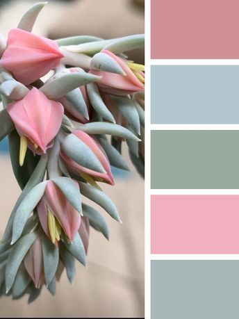 Shabby Chic Colors, Yarn Color Combinations, Paint Color Inspiration, Color Combinations For Clothes, Color Schemes Colour Palettes, Paint Color Palettes, Color Palate, Design Seeds, Color Palette Design