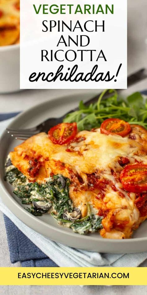 Vegetarian Italian Recipes, Spinach Enchiladas, Vegetarian Mexican Recipes, Veggie Main Dishes, Curry Recipes Vegetarian, Vegetarian Casserole, Spinach And Ricotta, Vegetarian Enchiladas, Vegetarian Italian