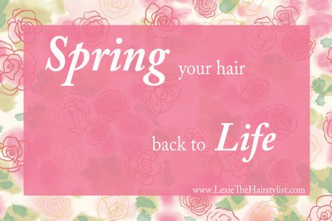 spring your hair back to life beauty quote Cosmos Quotes, Video Cars, Hair Salon Quotes, Beauty Quote, Your Hair, Salon Quotes, Cars Lamborghini, Beauty Video Ideas, Spring Quotes