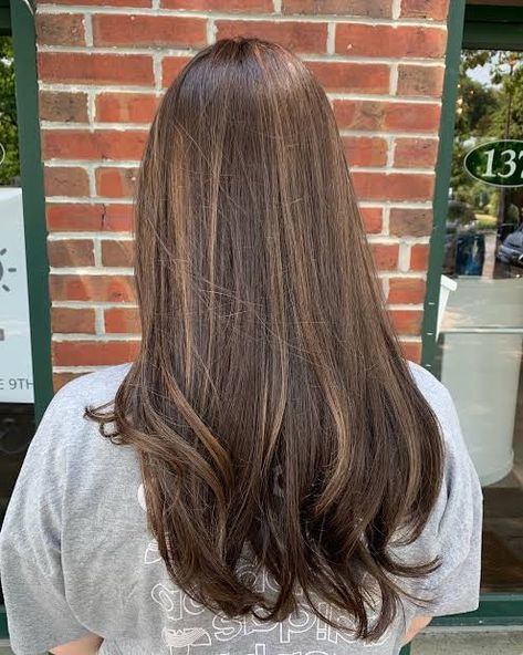 Subtle Highlights For Brunettes Straight, Highlights On Light Hair, Highlights Brown Hair Natural, Subtle Light Brown Highlights, Light Brown Highlights On Brown Hair, Soft Brown Highlights, Natural Brown Highlights, Dark Honey Brown Hair, Light Medium Brown Hair