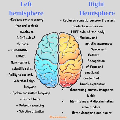 Read Caption ⬇️ . . “The brain is a masterpiece divided into two sides – the logical left hemisphere, handling reasoning, language, and facts, and the creative right hemisphere, thriving on imagination, intuition, and artistry. Balance both for a life of innovation and wisdom. 🧠✨ Which side do you feel more connected to? #LeftBrain #RightBrain” . . . Follow ✅ for more @academixzone . . . . #BrainPower #Neuroscience #CreativityVsLogic #MindsetMatters #GrowthMindset #SelfAwareness #instagram ... Left And Right Hemisphere Of Brain, Neuro Science, Brain Hemispheres, Brain Anatomy And Function, Psychology Notes, Read Caption, Brain Facts, Brain Anatomy, Learn Facts