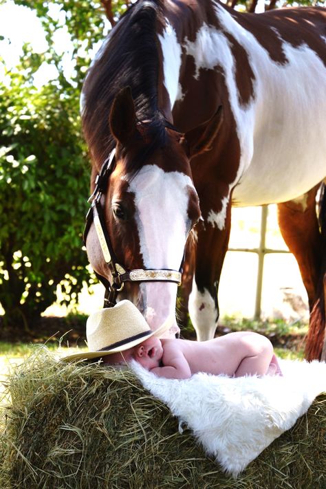 Newborn Pictures With Horses, Western Newborn Photography, Western Baby Pictures, Fall Baby Pictures, Funny Horse Pictures, Pictures With Horses, Newborn Photos Boy, Western Photo, Baby Announcement Pictures