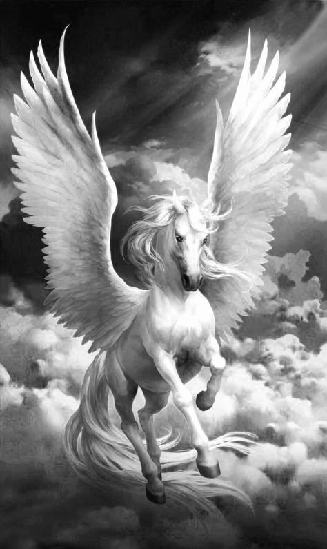 Pegasus Tattoo, Pegasus Art, Greek Mythology Tattoos, Unicorn Pictures, Fantasy Horses, Winged Horse, Mythology Tattoos, Horse Artwork, Horse Tattoo