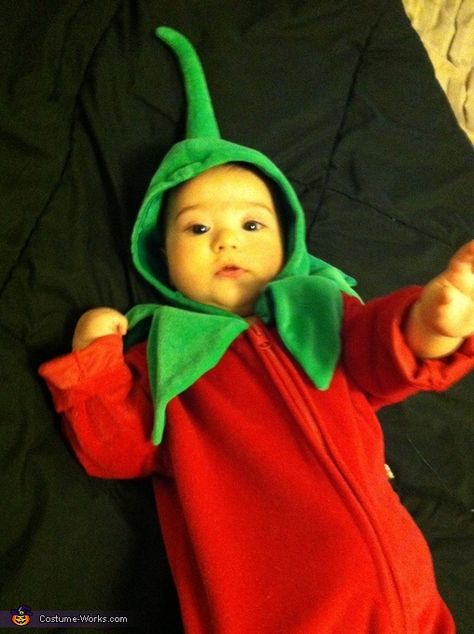 Chili Pepper Costume, Baby First Halloween, Costume Works, Halloween Costume Contest, Wonder Women, Costume Contest, First Halloween, 8 Months, Chili Pepper