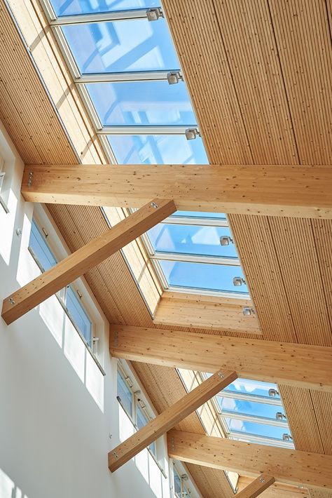 VELUX longlight 5 - 25° - Longlights for flat roofs Architecture Design Presentation, Skylight Design, Mid Century Lounge, Timber Windows, Design Presentation, Architecture Design Concept, Roof Light, Garden Office, Flat Roof