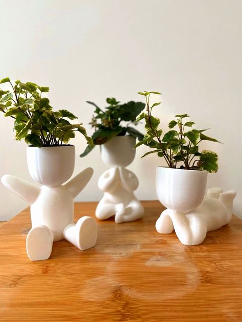 3d Tiskárna, Desk Planter, Planter Indoor, Engagement Party Gifts, House Plants Decor, Pottery Crafts, Succulent Pots, Small Plants, Succulent Planter