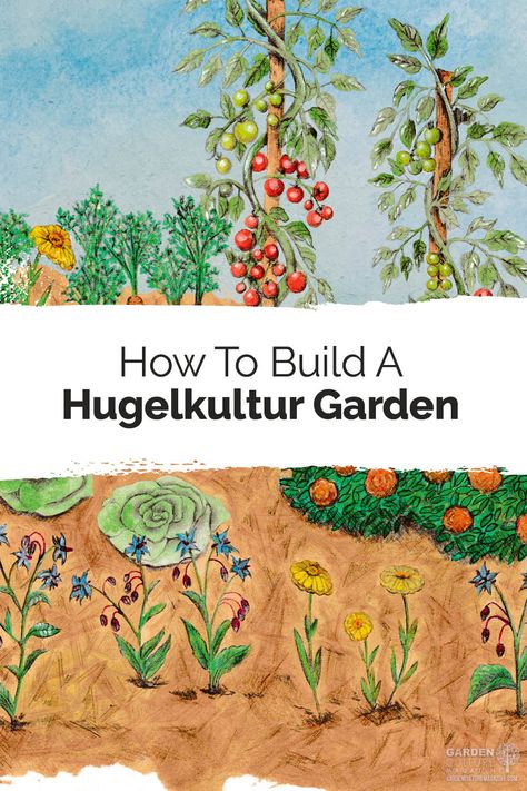 Hugelkultur Gardens: No-Dig, Less Work, And Great Yields Hugelkulture Gardening, No Dig Gardening, No Dig Garden, Poplar Tree, Dig Gardens, Thriving Garden, Culture Magazine, Garden Store, Garden Trees