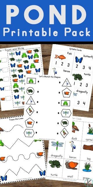 Pond Life Preschool, Pond Activities, Pond Life Theme, Pond Crafts, Pond Animals, Pre K Worksheets, Printable Worksheets For Kids, Preschool Sight Words, Free Worksheets For Kids