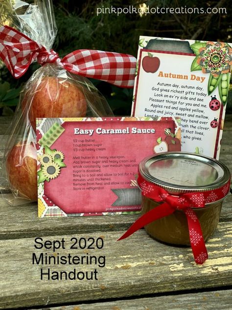 Ministering Handouts, Visiting Teaching Gifts, Teaching Gifts, Birdcage Planter, Borax Cleaning, Fabric Cleaner, Rich Gifts, Visiting Teaching Handouts, Girls Crafts