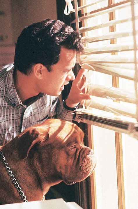 Turner And Hooch, Film Stars, Centre Stage, Tom Hanks, Best Friend, Hollywood, Film, Stars, Dogs