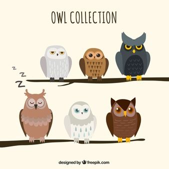 Branch Drawing, Geometric Owl, Eurasian Eagle Owl, Owl Clip Art, Owl Stickers, Owl Illustration, Owl Collection, Colorful Owls, Owls Drawing