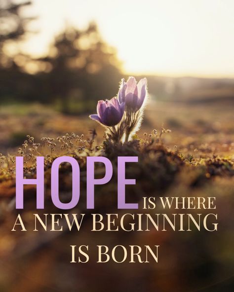 Hope is more than an idea. It's a place, a real one inside ourselves where dreams can grow and new beginnings are born. ⁠ ⁠ Sometimes, when hope is taken away, that place is destroyed and nothing can flourish or grow. ⁠ ⁠ But that place is never gone, and with the help of others, healing and hard work, hope will always find a way. ⁠ ⁠ #starsofHOPE #hopeheals #hopelives #hopegrows #emotionalhealing #emotionalrecovery #communitysupport #communityhealing Quotes About Hope For The Future, Hope All Is Well Quotes, Have Hope Quotes, New Hope Quotes, Hope Quotes Hard Times, All Is Well Quotes, Hope Quotes Positive, Hope Quotes Encouragement, Hope Quotes Never Give Up