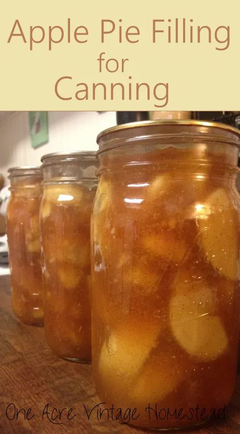 Apple Pie Filling - A Water Bath Food Preservation Recipe Apple Pie Filling For Canning, Canning Apple Pie Filling, Canning Apples, Apple Pie Filling Recipes, Homemade Apple Pie Filling, Peach Pie Filling, Canned Apple Pie Filling, Canning Fruit, Home Canning Recipes