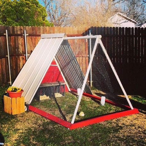 Crunchy Stuff, Chook Pen, A Frame Chicken Coop, Chicken Coop Decor, Fun Backyard, Urban Backyard, Backyard Trampoline, Chicken Tractor, Chicken Cages