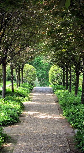 . Cobblestone Border, Tree Lined Path, Dumbarton Oaks, Gravel Pathway, Pear Trees, Metal Tree Wall Art, Cat Air, Have Inspiration, Garden Pathway