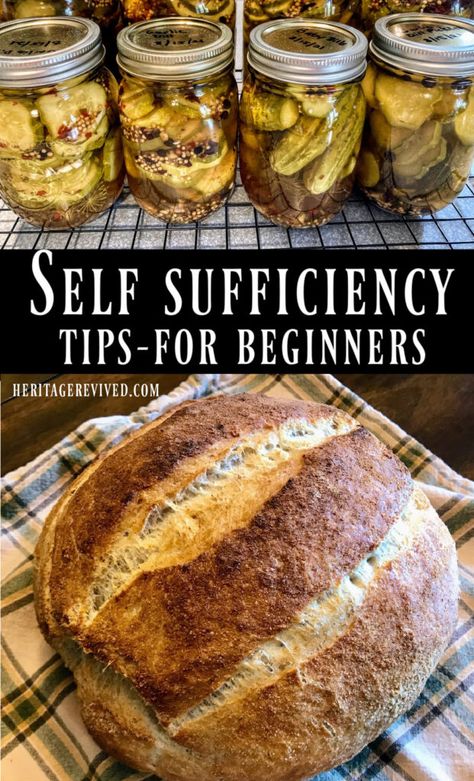 sourdough break making and canned pickles Self Sufficient Food, How To Be Self Sufficient, Self Sufficient Living, Survival Food Storage, Self Sufficient, Emergency Preparedness Food, Homesteading Diy, Homemade Pantry, Survival Skills Life Hacks