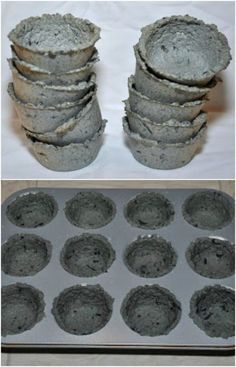 DIY Shredded Paper Seed Starters Diy Shredded Paper, Seed Starters, Indoor Vegetables, Aquaponics Diy, Paper Pot, Seed Pots, Indoor Vegetable Gardening, Seed Starter, Aquaponics System