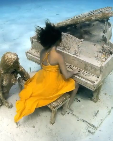 TRAVEL | ADVENTURE | OUTDOORS on Instagram: “Music comes from a place we don’t know. 🎵🎹 Comment 👌if you agree! ⁠ ⁠• Follow @mindblowingtravels for more! 🔥 Video by: @andremusgrove⁠ •…” Water Reference, Jason Decaires Taylor, Underwater Model, Baby Grand Piano, David Copperfield, Underwater Art, Free Diving, Caribbean Travel, Grand Piano