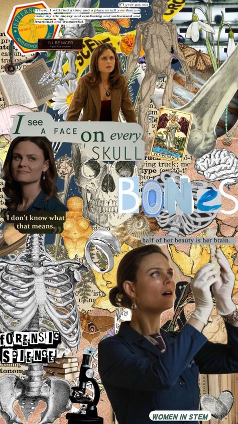 Bones Angela, Jack Hodgins, Camille Saroyan, Angela Montenegro, Lance Sweets, The Proposal Movie, Bones Series, Temperance Brennan, Mummy Movie