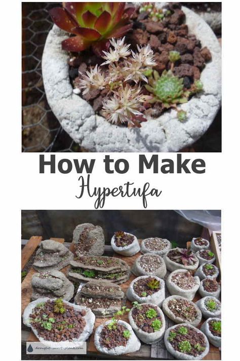 Hypertufa Succulent Planter, Cement Succulent Planter Diy, Hypertufa Mushrooms, Hypertufa Recipe, How To Make Lava, Hypertufa Pots, Hypertufa Projects, Hypertufa Planters, Cat Stand