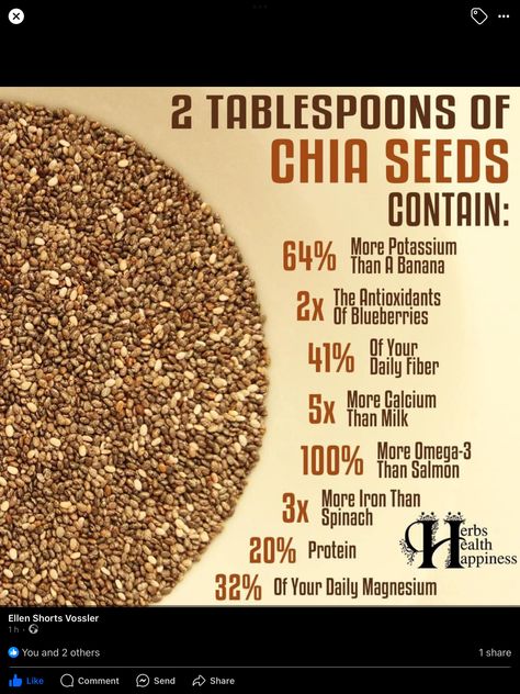 Benefits Of Chia Seeds, Benefits Of Chia, Chia Benefits, Seeds Benefits, Chia Seeds Benefits, Calcium Rich Foods, Green Tea Benefits, Food Info, Food Facts