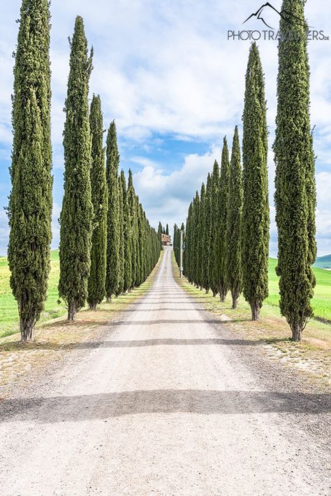 Val D Orcia, Paradise Garden, October 23, Landscape Photos, Toscana, Italy Travel, Tuscany, Garden Design, Paradise