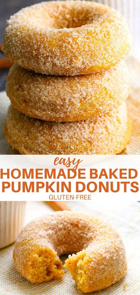 Beignets Cuits, Gluten Free Doughnuts, Gluten Free Pumpkin Recipes, Patisserie Sans Gluten, Dessert Sans Gluten, Gluten Free Donuts, Healthy Baked, Pumpkin Recipes Dessert, Homemade Donuts