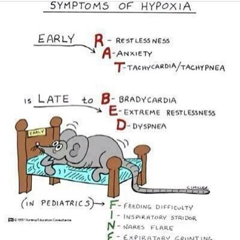 Signs of Hypoxia Nursing Information, Med Surg Nursing, Nursing Mnemonics, Nursing School Survival, Fundamentals Of Nursing, Nursing School Studying, Nursing School Tips, Nursing School Notes, Medical School Studying