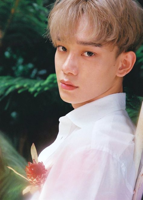 |EXO| JongDae •JongDae The War KokoBop♡ Spirit Fanfic, Exo Jongdae, Exo Kokobop, Exo Official, Exo Album, Ko Ko Bop, Exo Korean, Baekhyun Chanyeol, Exo Chen